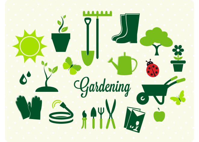 Calendrier de jardinage: ¿Qué plantar en marzo, abril y mayo?