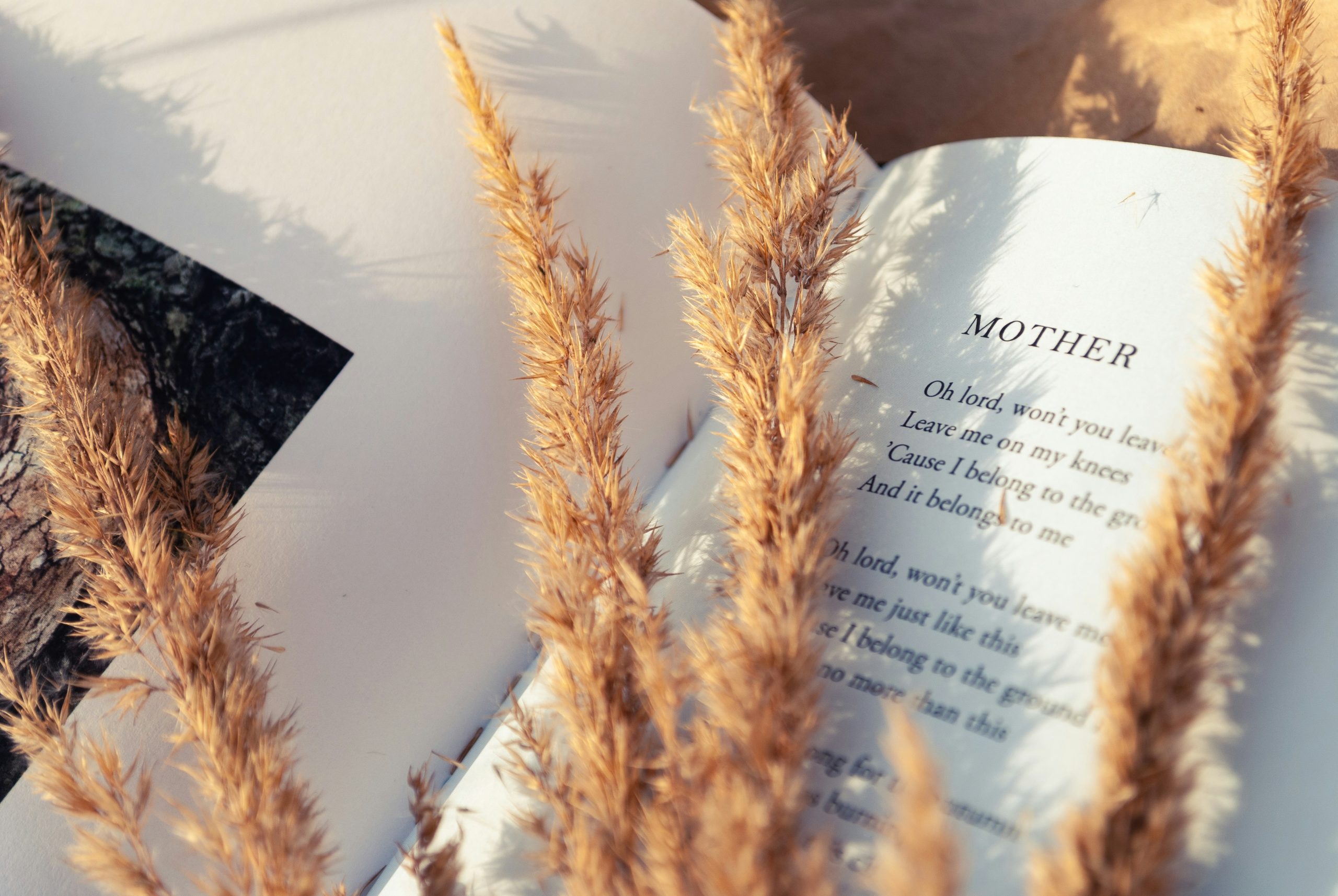 Regalos emocionales para el Día de la Madre: detalles que conectan, acompañan y nunca se olvidan