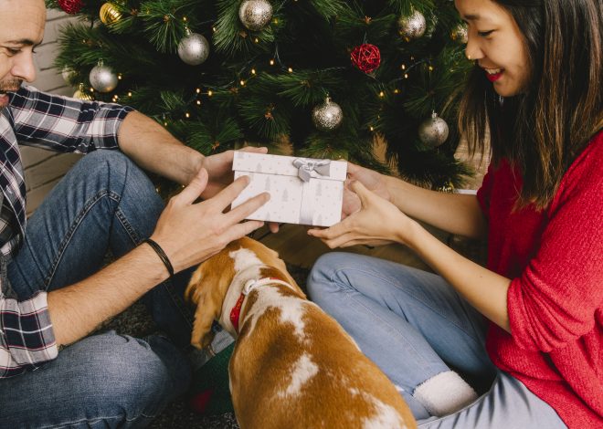Amor a cuatro patas: 8 regalos personalizados, frescos y súper estéticos para verdaderos “dog lovers”