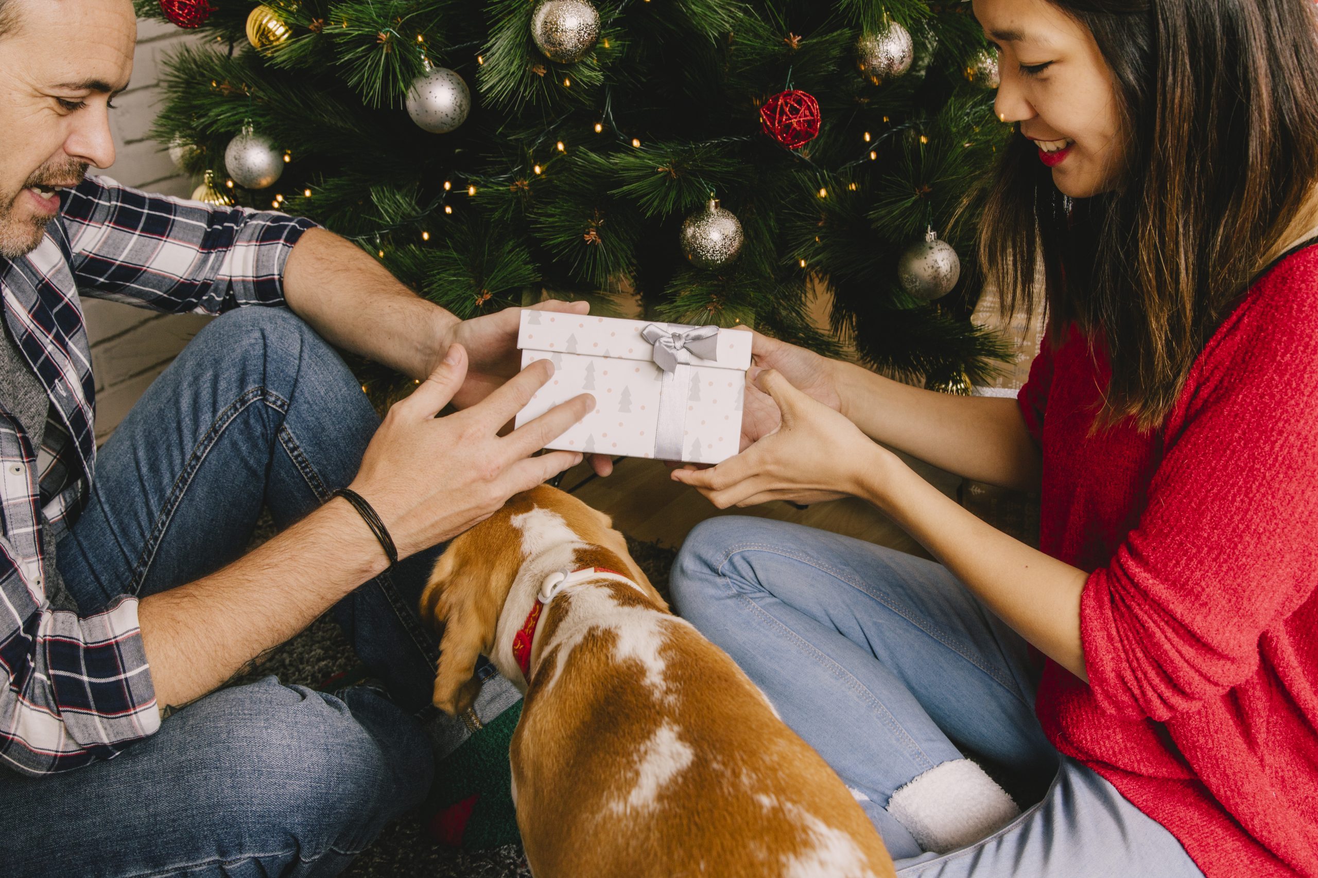 Amor a cuatro patas: 8 regalos personalizados, frescos y súper estéticos para verdaderos “dog lovers”