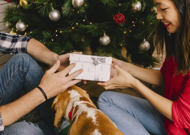 Amor a cuatro patas: 8 regalos personalizados, frescos y súper estéticos para verdaderos “dog lovers”