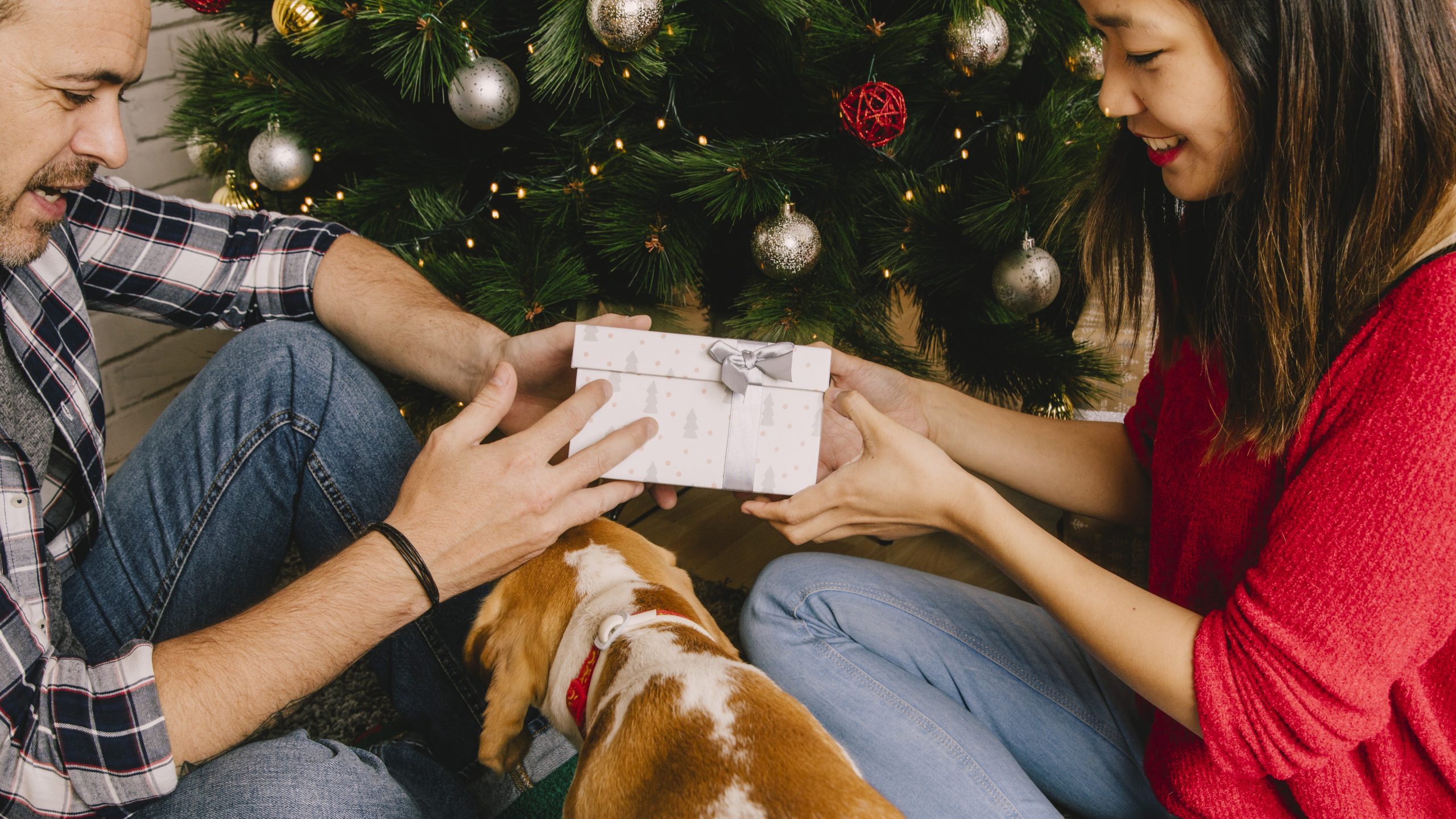Amor a cuatro patas: 8 regalos personalizados, frescos y súper estéticos para verdaderos “dog lovers”