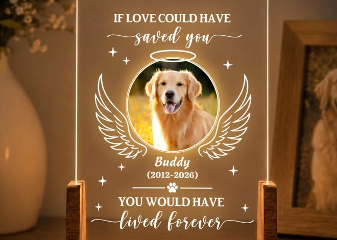 Una luz de amor eterno: Lámpara nocturna LED de acrílico personalizada con foto de mascota y alas de ángel