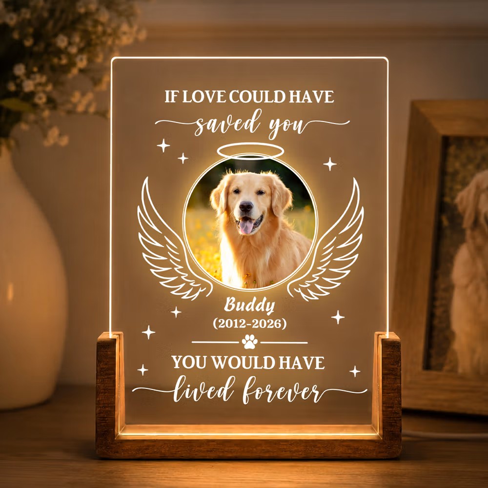 Una luz de amor eterno: Lámpara nocturna LED de acrílico personalizada con foto de mascota y alas de ángel