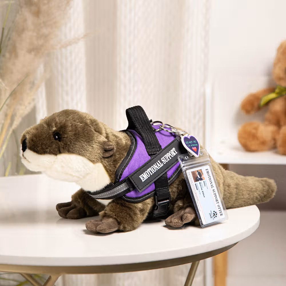 Peluche de nutria de apoyo emocional personalizado: El regalo perfecto de compañía y confort