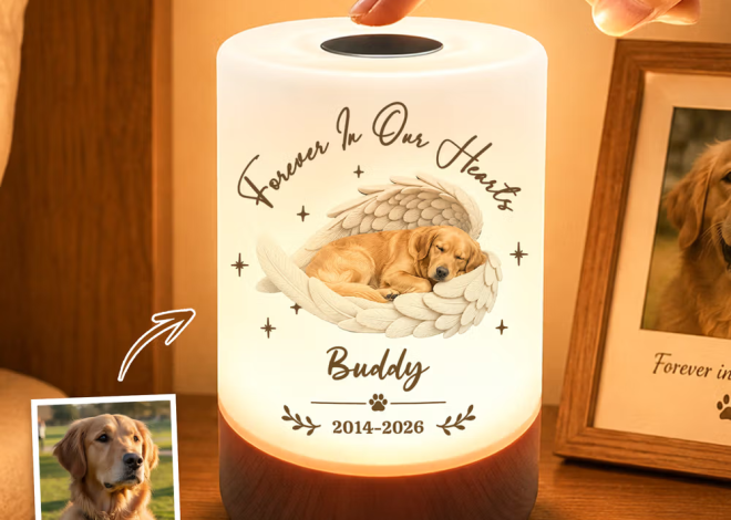 Las 8 luces nocturnas personalizadas más encantadoras para transformar el dormitorio en un oasis de calma
